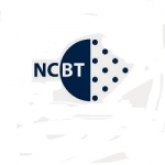 Newton College of Business and Technology (NCBT)
