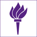 New York University